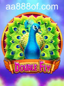 Explore o Universo Empolgante de DoubleFly: Inovações e Regras do Jogo